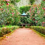 Clemson Botanical Garden